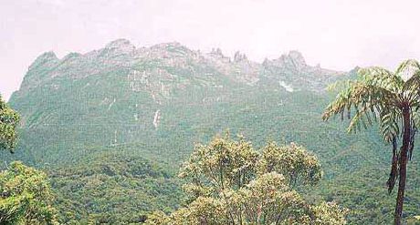Kinabalu